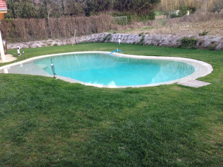Aménagement extérieur du jardin à Saint-Julien-en-Genevois – Piscine Terrasse en pierre