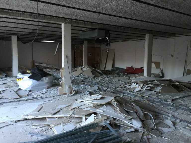 Aménagement extérieur du jardin (Rénovation int Démolition, Annemasse)
